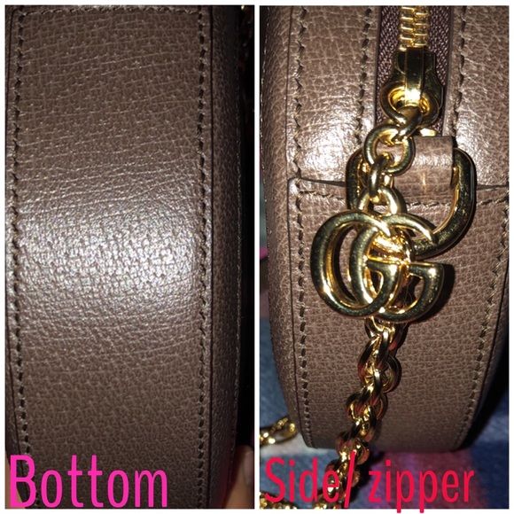 𝖮𝗉𝗁𝗂𝖽𝗂𝖺 𝖲𝗎𝗉𝗋𝖾𝗆𝖾 𝖱𝗈𝗎𝗇𝖽 𝖡𝖺𝗀 - Picture 6 of 8